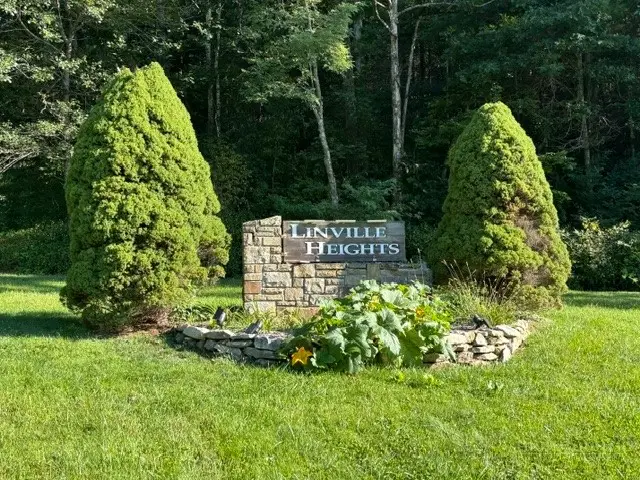 TBD Linwood Lane, Newland, NC 28657 - #1