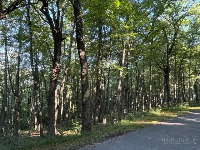 TBD Linwood Lane, Newland, NC 28657 - #2