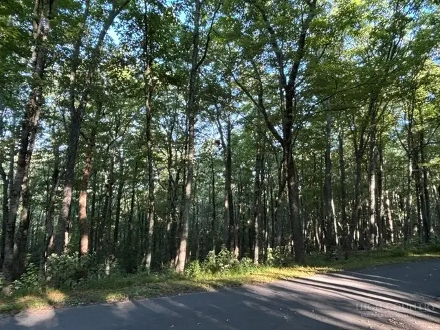 TBD Linwood Lane, Newland, NC 28657 - #3