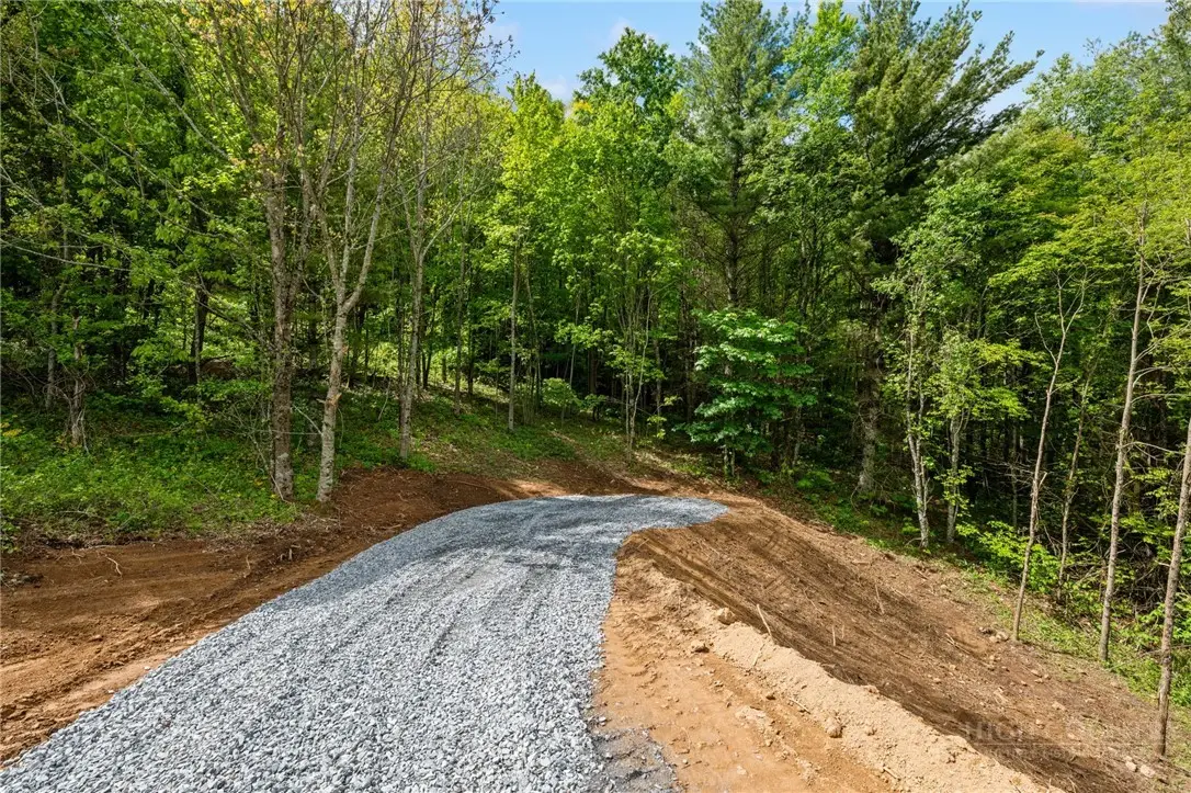 Lot 46 Silver Springs Farm Road, Banner Elk, NC 28604 - #1