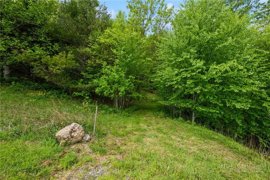 Lots 51 and 52 Snow Fox Lane #51 and 52, Banner Elk, NC 28604 - #2