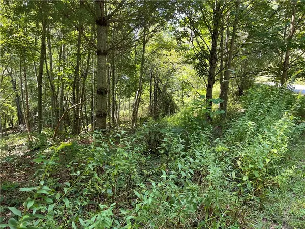 TBD Abigail Lane, Deep Gap, NC 28618