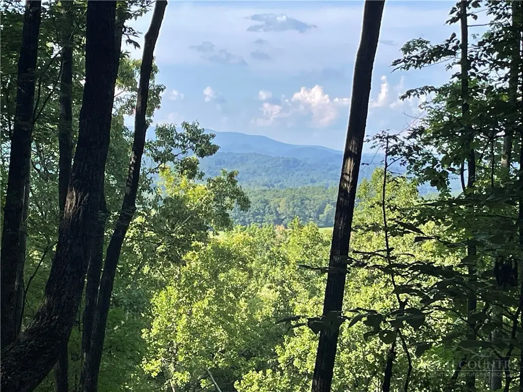 TBD Lot #60 Sonterra Vista, Lansing, NC 28643 - #1