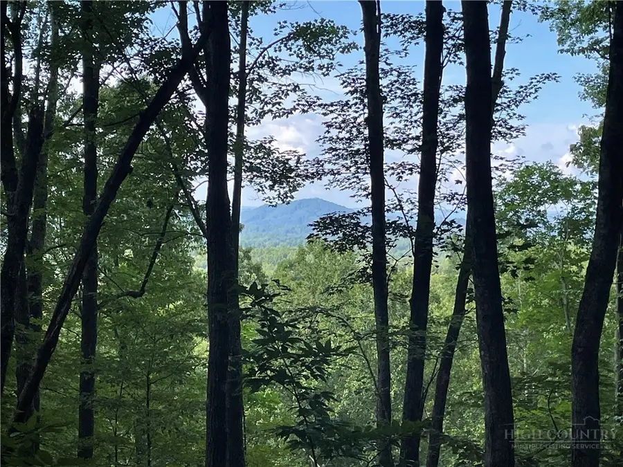 TBD Lot #60 Sonterra Vista, Lansing, NC 28643 - #3