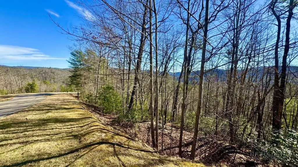 Lot 1003 Reynolds Parkway, Ferguson, NC 28624 - #1