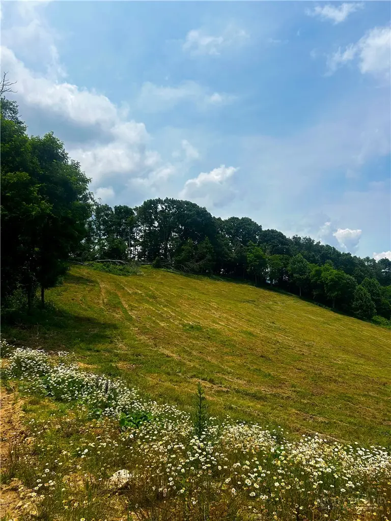TBD Edgar Tufts Road, Banner Elk, NC 28604 - #2