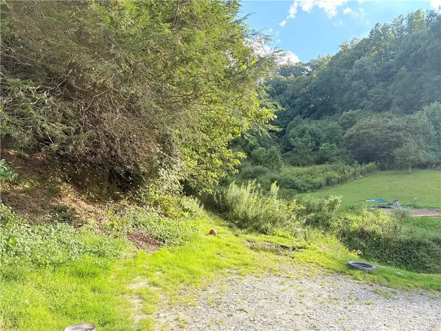 0 N Us 19e Hwy, Elk Park, NC 28622 - #2