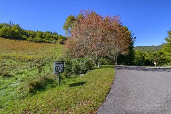 Lot 47 Silver Springs Drive, Banner Elk, NC 28604