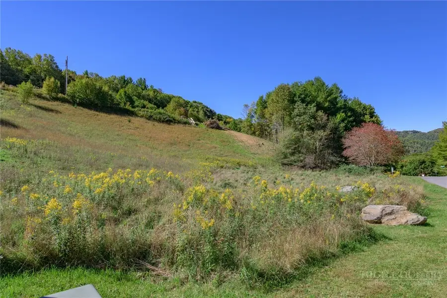 Lot 47 Silver Springs Drive, Banner Elk, NC 28604 - #2