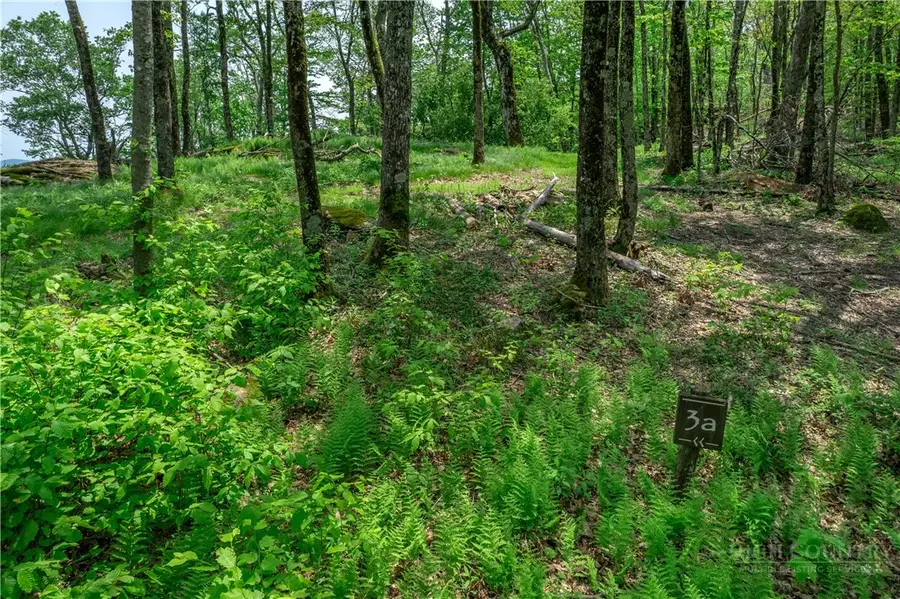 N-3A Crestline Court, Banner Elk, NC 28604 - #2