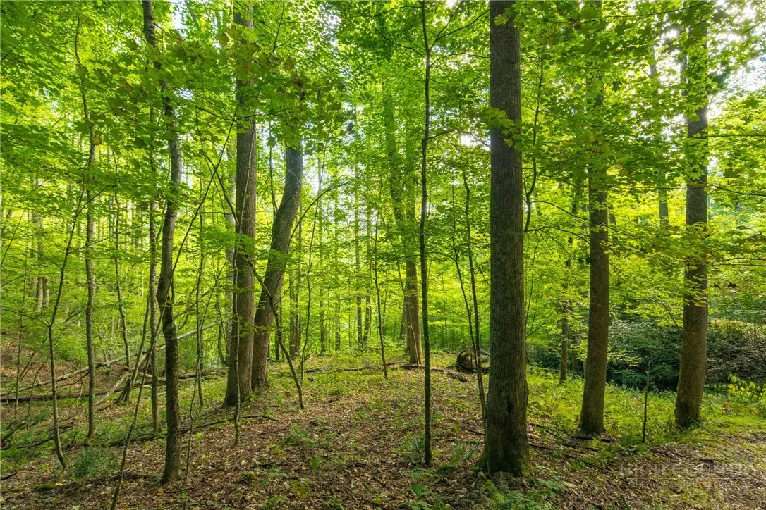 TBD Wasatch Drive, Boone, NC 28607 - #1
