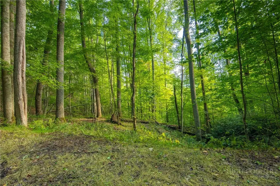 TBD Wasatch Drive, Boone, NC 28607 - #2
