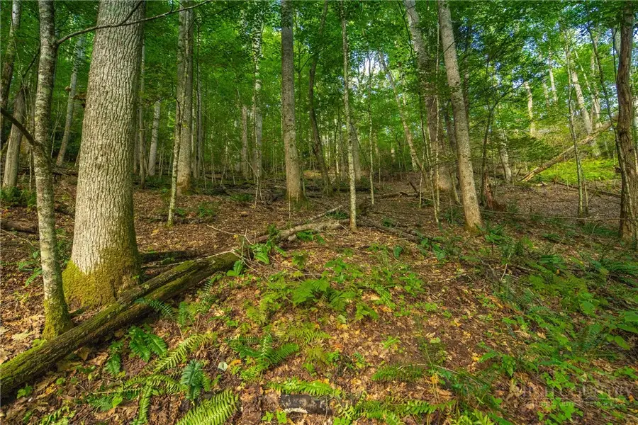 TBD Wasatch Drive, Boone, NC 28607 - #3