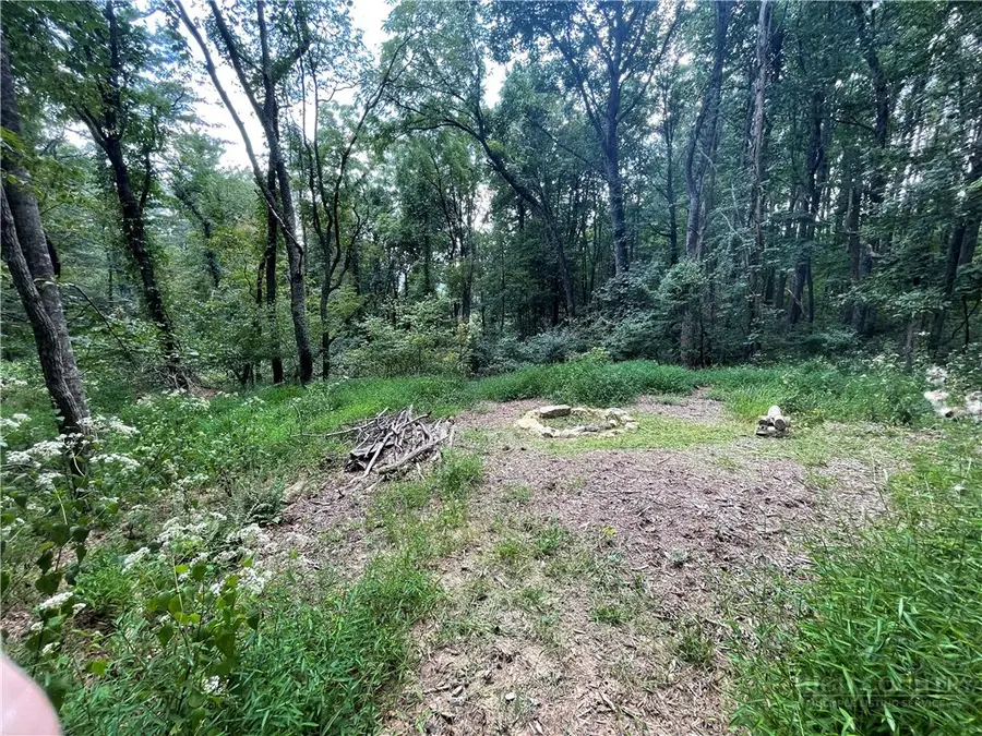 TBD Island Ford Road, Crumpler, NC 28617 - #2