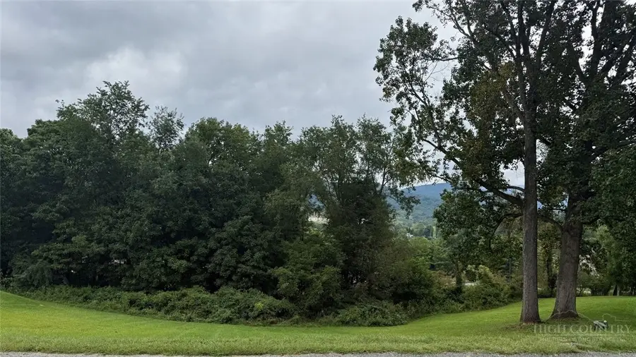 TBD Lot 9 Willowbend Lane, Jefferson, NC 28640 - #3
