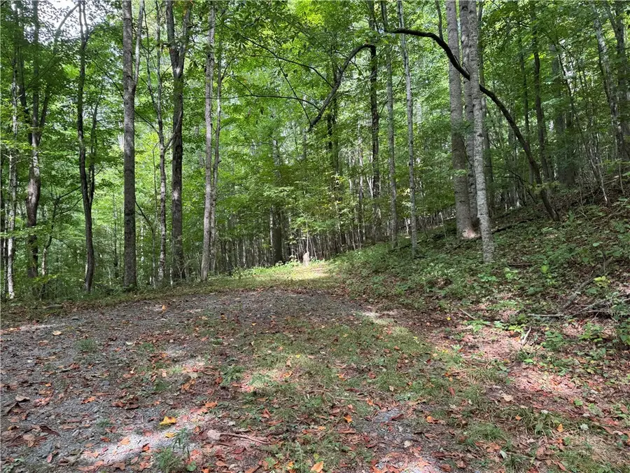 Lots 22,23,32,& 33 Marta Lane, Zionville, NC 28698 - #2