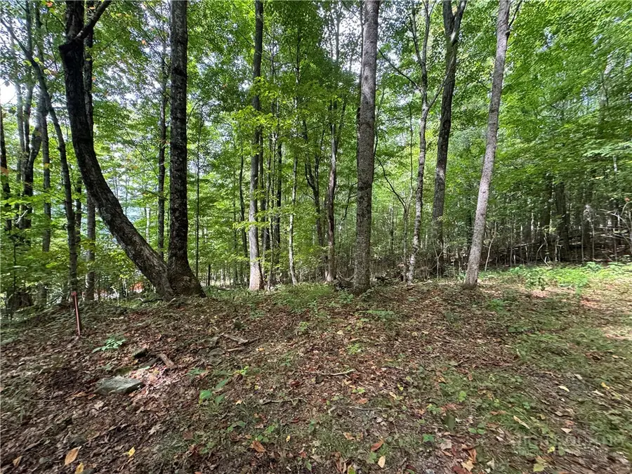 Lots 22,23,32,& 33 Marta Lane, Zionville, NC 28698 - #3