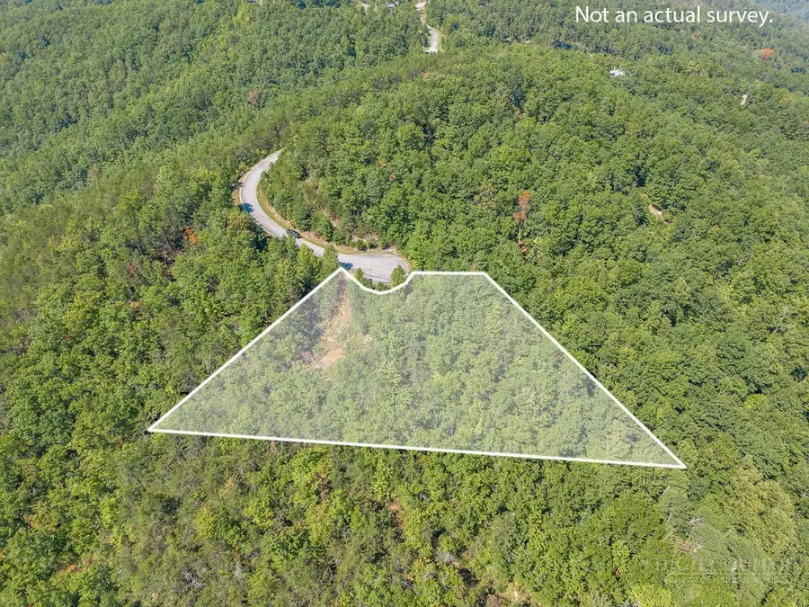 1319 Round Leaf Lane, Ferguson, NC 28624 - #2