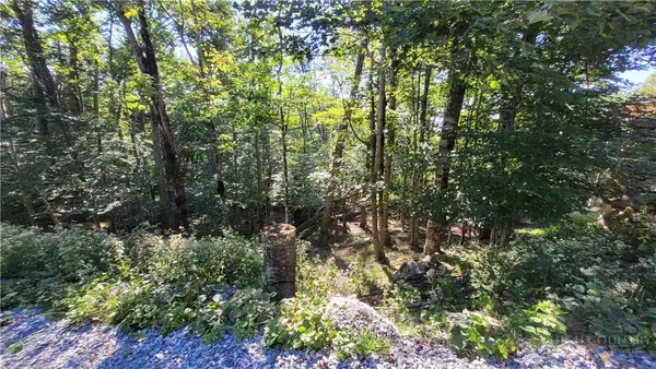 112 Upper Snowbird Trail, Beech Mountain, NC 28604