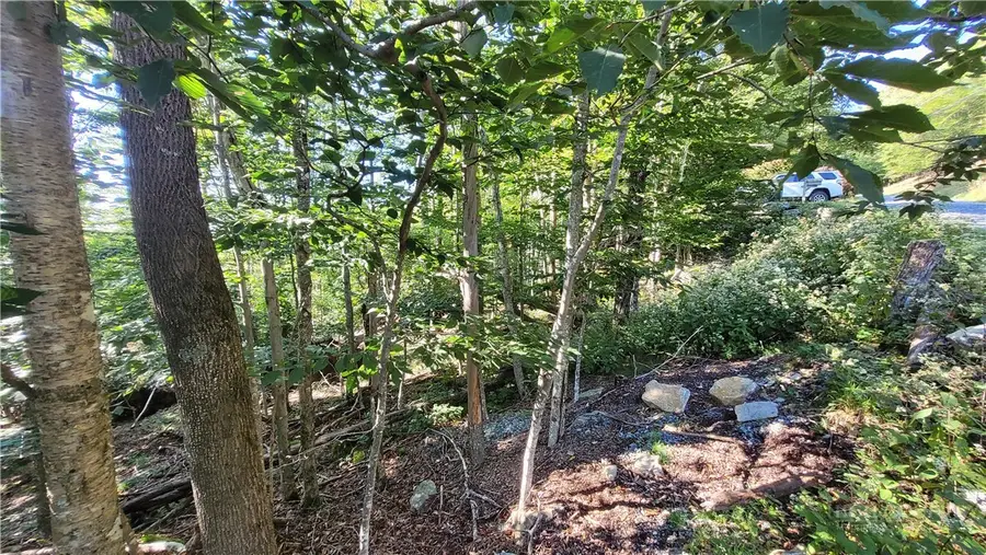 112 Upper Snowbird Trail, Beech Mountain, NC 28604 - #2