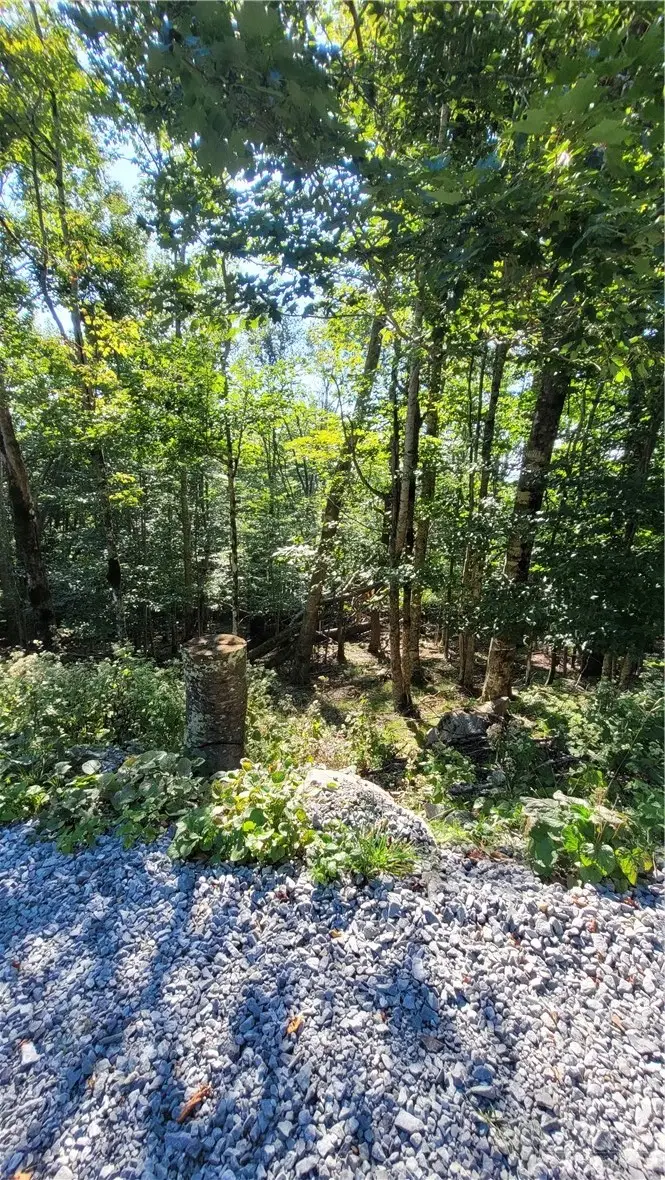112 Upper Snowbird Trail, Beech Mountain, NC 28604 - #3