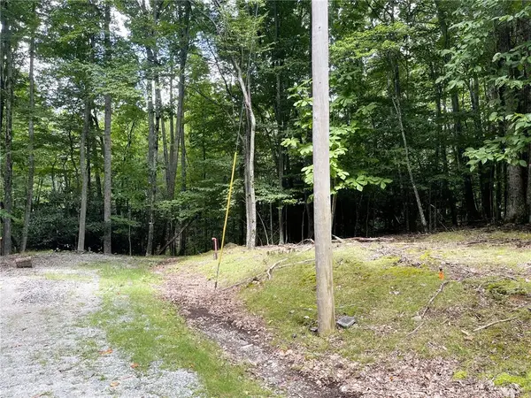 104 North Hickory Lane, Beech Mountain, NC 28604