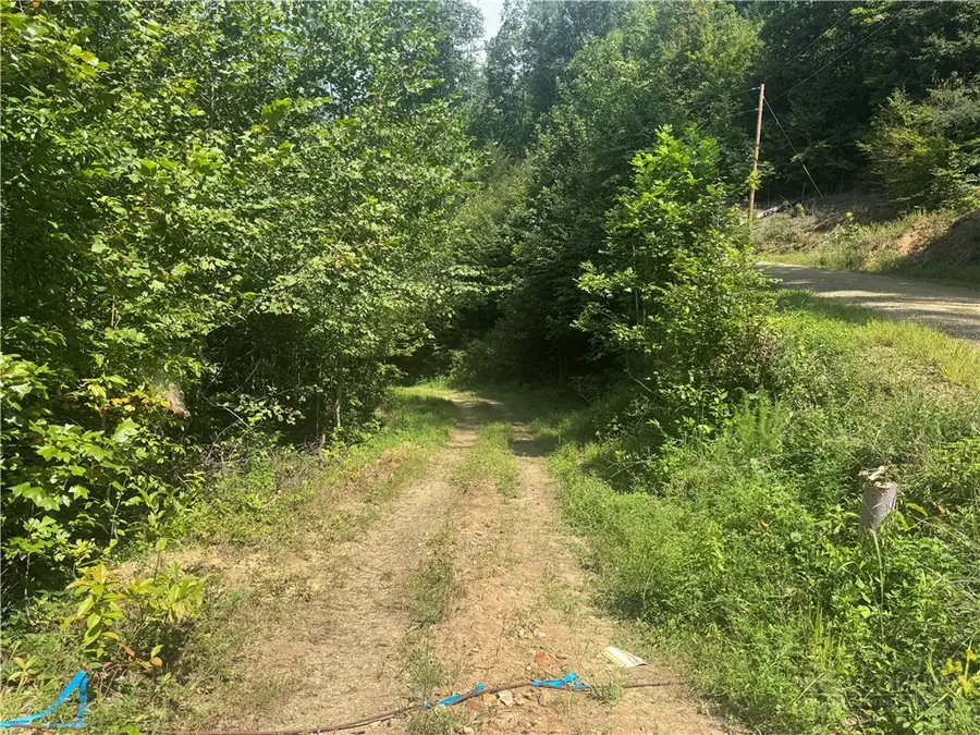 TBA Stony Fork, Ferguson, NC 28624 - #2