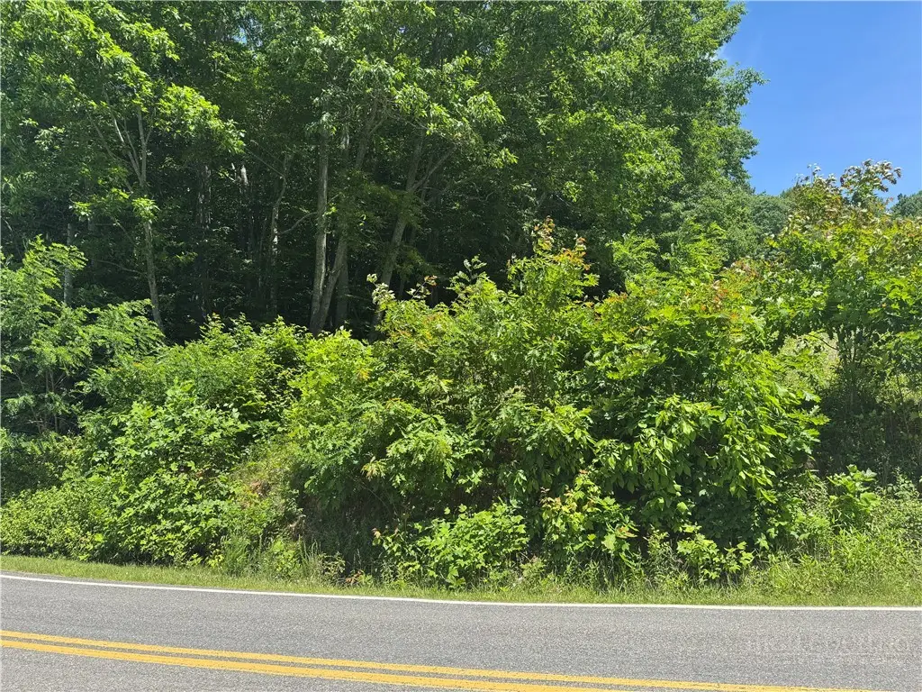 tbd Peak Road, Creston, NC 28615 - #1