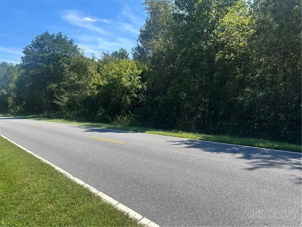 TBD Blackburn Bridge Road, Lincolnton, NC 28092 - #1