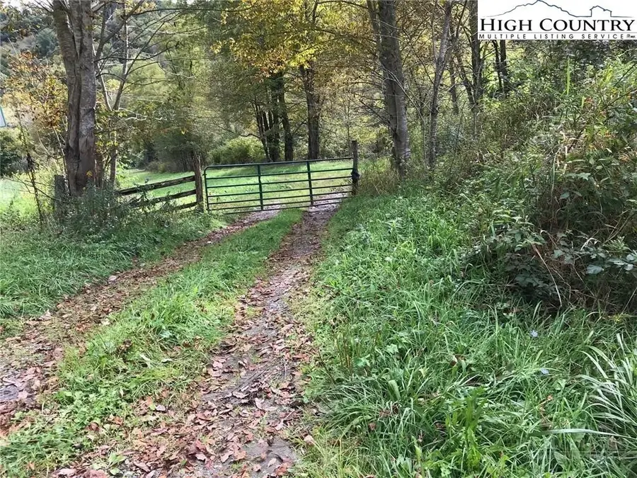 TBD Big Laurel Road, Creston, NC 28615 - #2