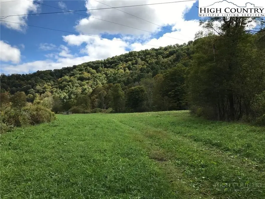 TBD Big Laurel Road, Creston, NC 28615 - #3