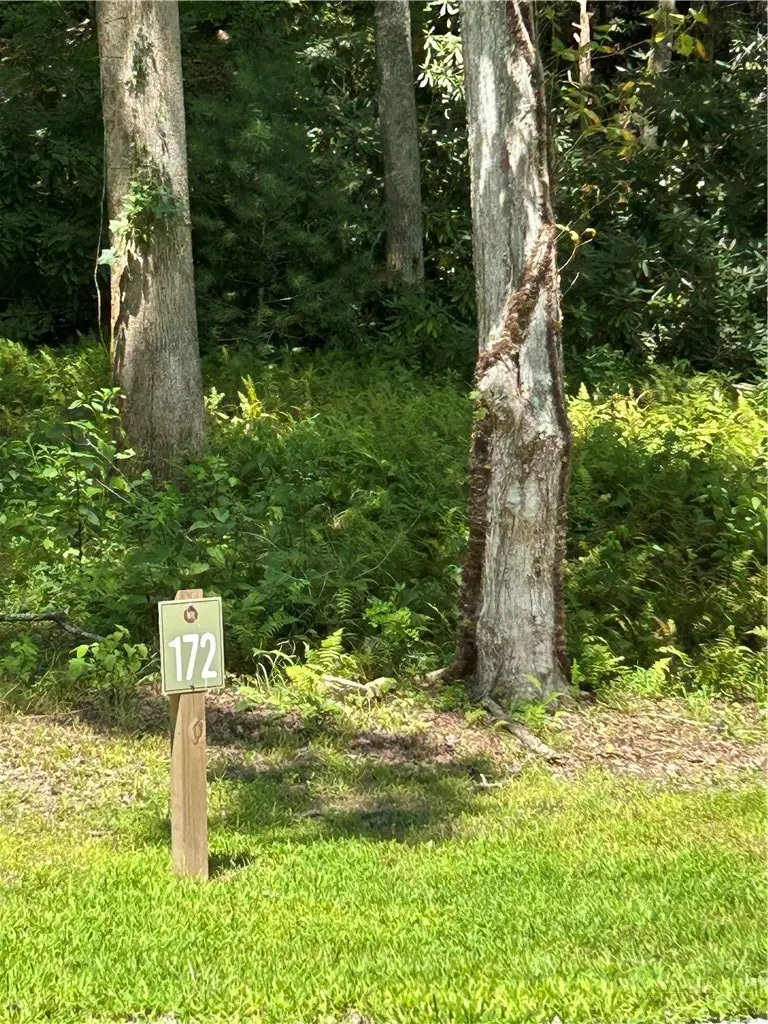 Lot 172 Wilderness Reserve Parkway, Deep Gap, NC 28618 - #1