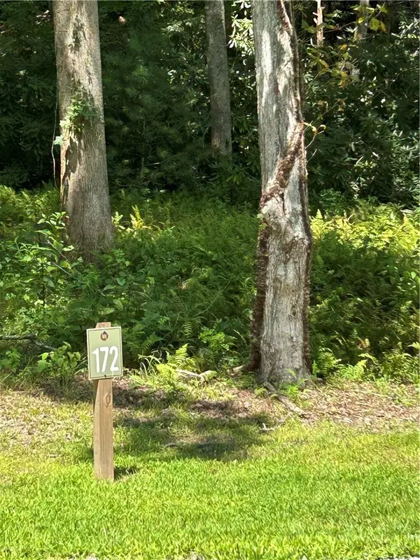 Lot 172 Wilderness Reserve Parkway, Deep Gap, NC 28618