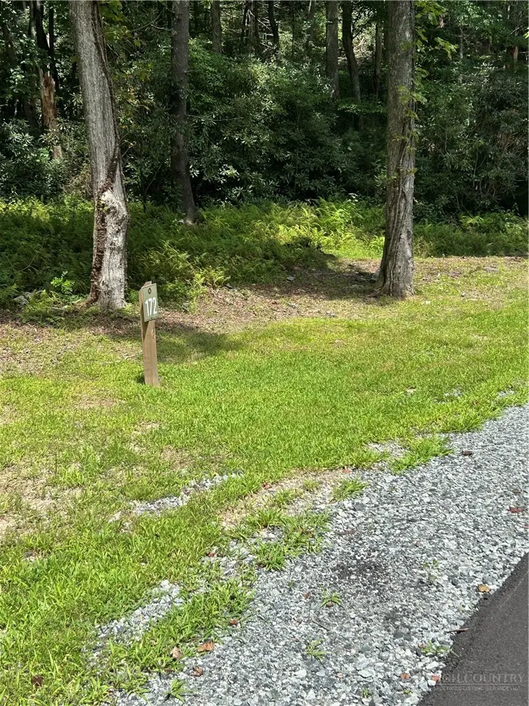 Lot 172 Wilderness Reserve Parkway, Deep Gap, NC 28618 - #2