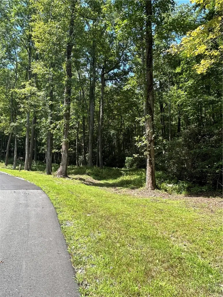 Lot 172 Wilderness Reserve Parkway, Deep Gap, NC 28618 - #3