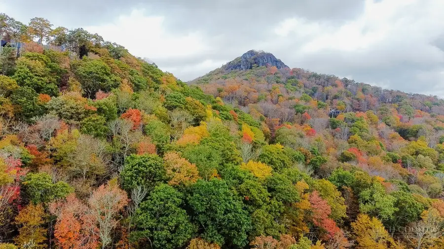 Lot 35 Tynecastle Drive, Banner Elk, NC 28604 - #3