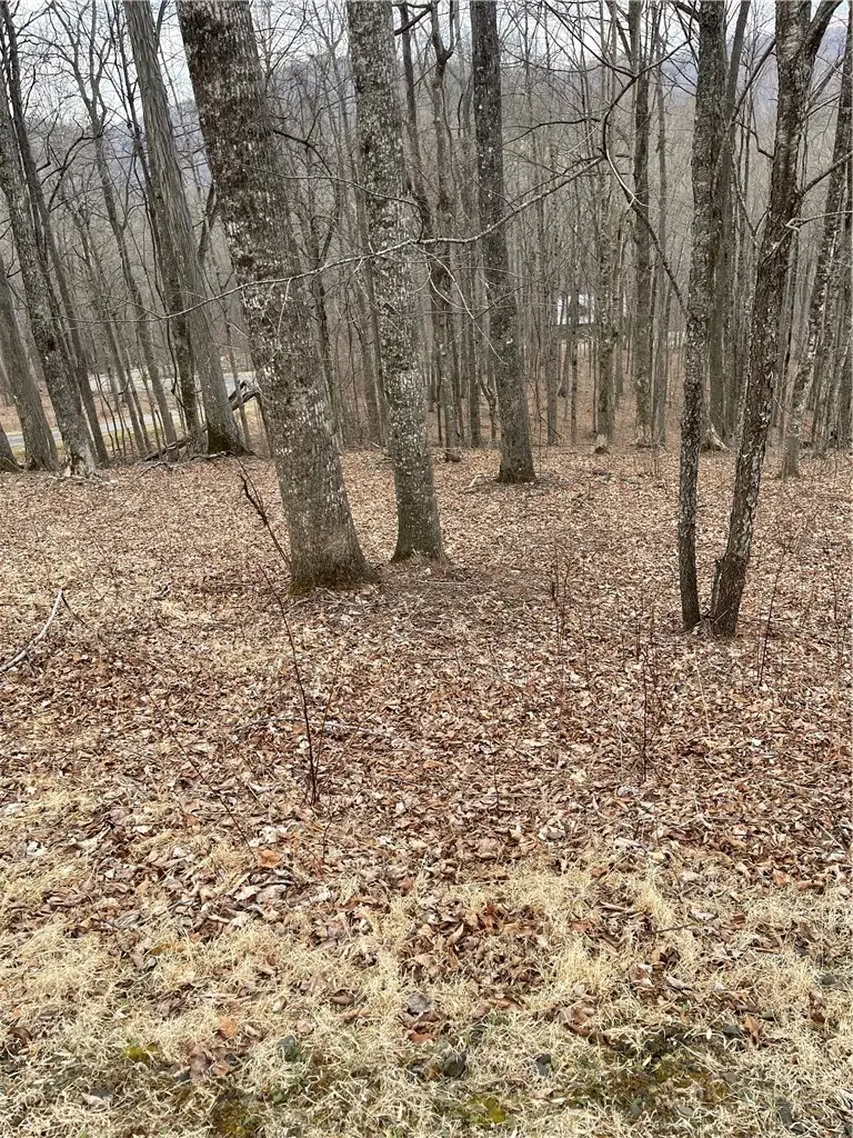 Lot #33 Elk Mountain Parkway, Todd, NC 28684 - #1