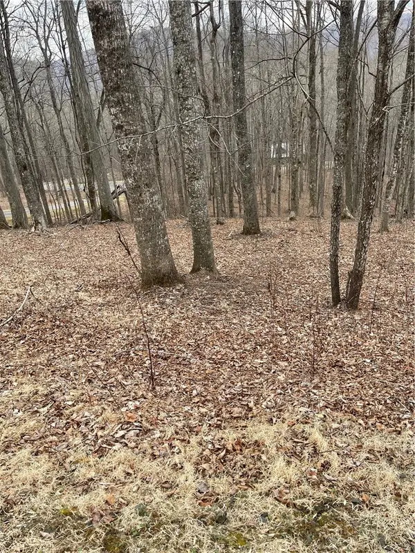 Lot #33 Elk Mountain Parkway, Todd, NC 28684