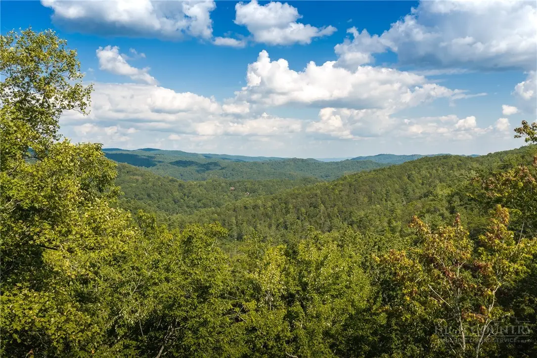 282 Ninebark Road, Boone, NC 28607 - #1