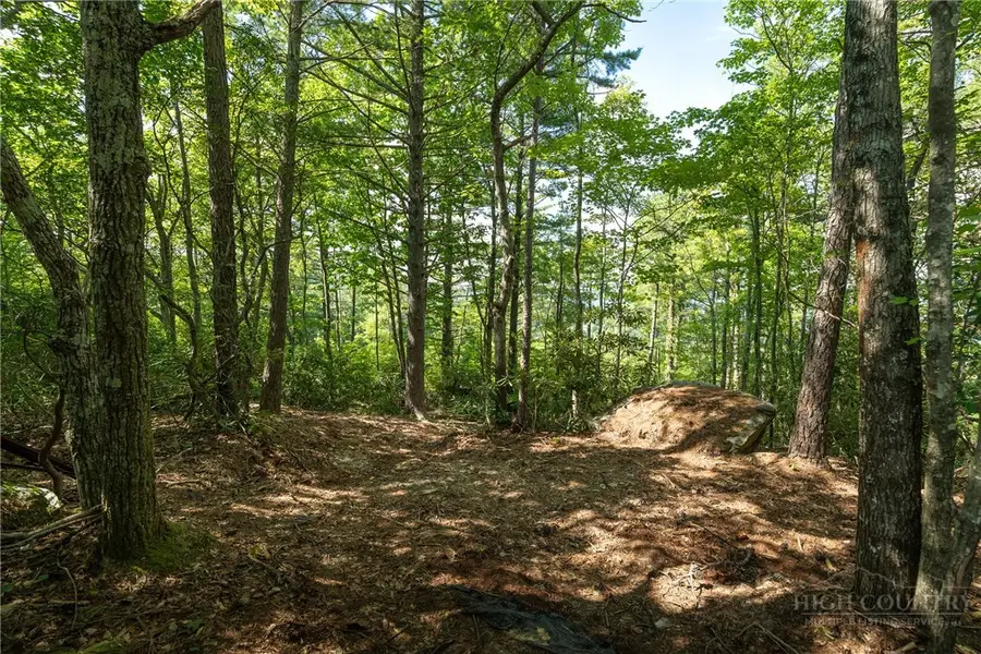327 Lyreleaf Trail, Boone, NC 28607 - #2