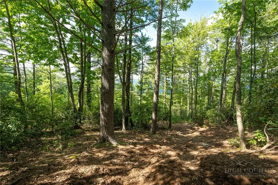 327 Lyreleaf Trail, Boone, NC 28607 - #3