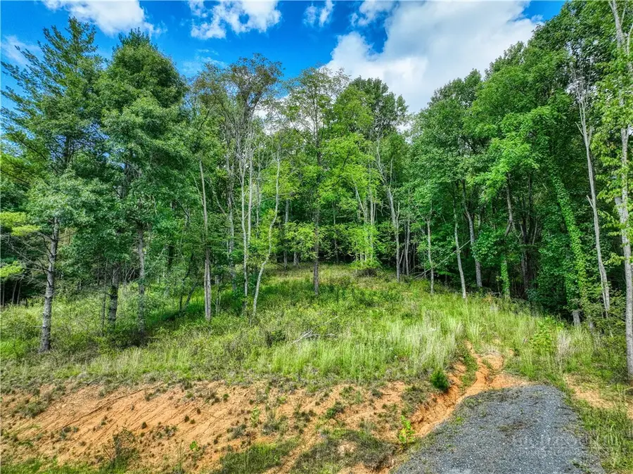 Lot 3 Venue Views Drive, Lansing, NC 28643 - #2