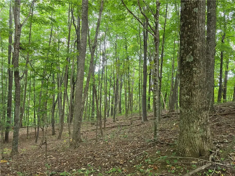 Lot 10 Townview Street, West Jefferson, NC 28694 - #2
