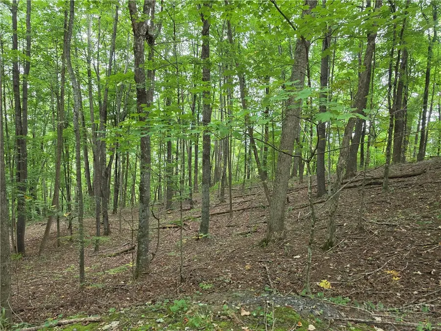 Lot 10 Townview Street, West Jefferson, NC 28694 - #3