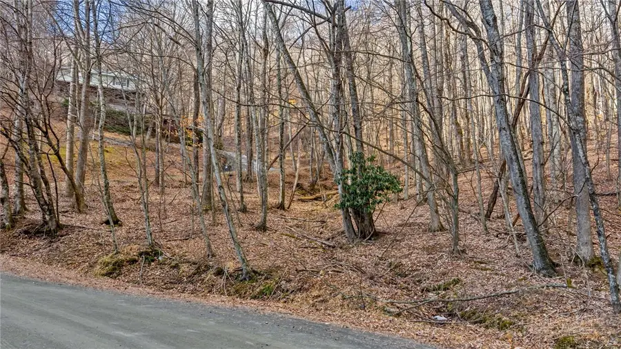 Lots 22/23 Locust Circle, West Jefferson, NC 28694 - #2