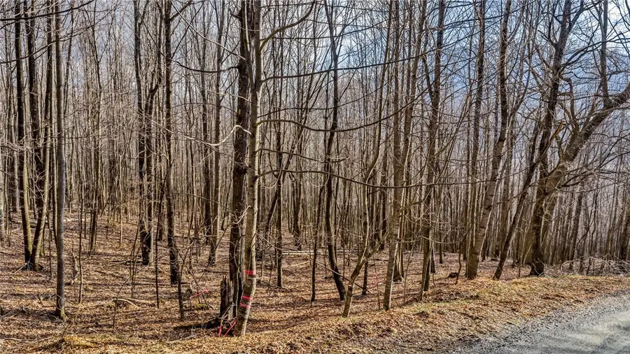 Lot 20 Townview Street, West Jefferson, NC 28694 - #2