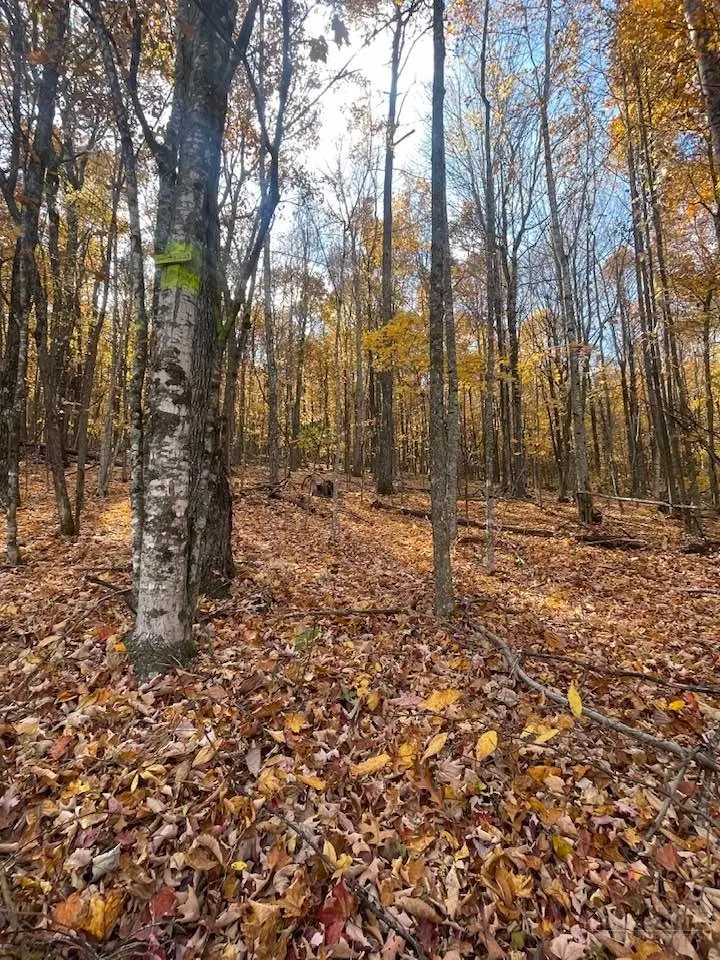 Lot 29 Winter Street, Jefferson, NC 28640 - #2