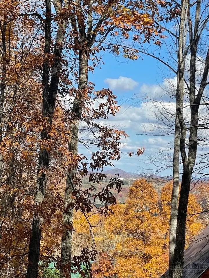 Lot 29 Winter Street, Jefferson, NC 28640 - #3