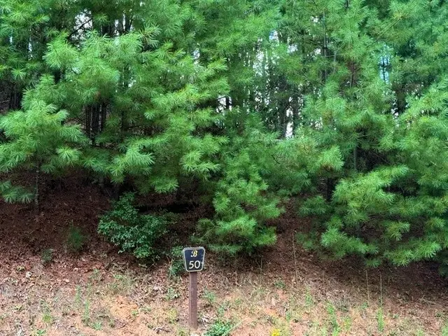 Lot 50 Brightwater Trail, West Jefferson, NC 28694 - #3