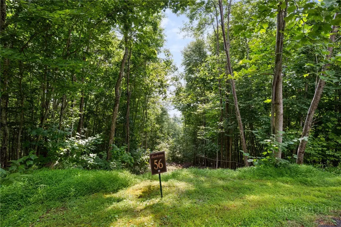Lot 56 Pinnacle Drive, Elk Park, NC 28622 - #1